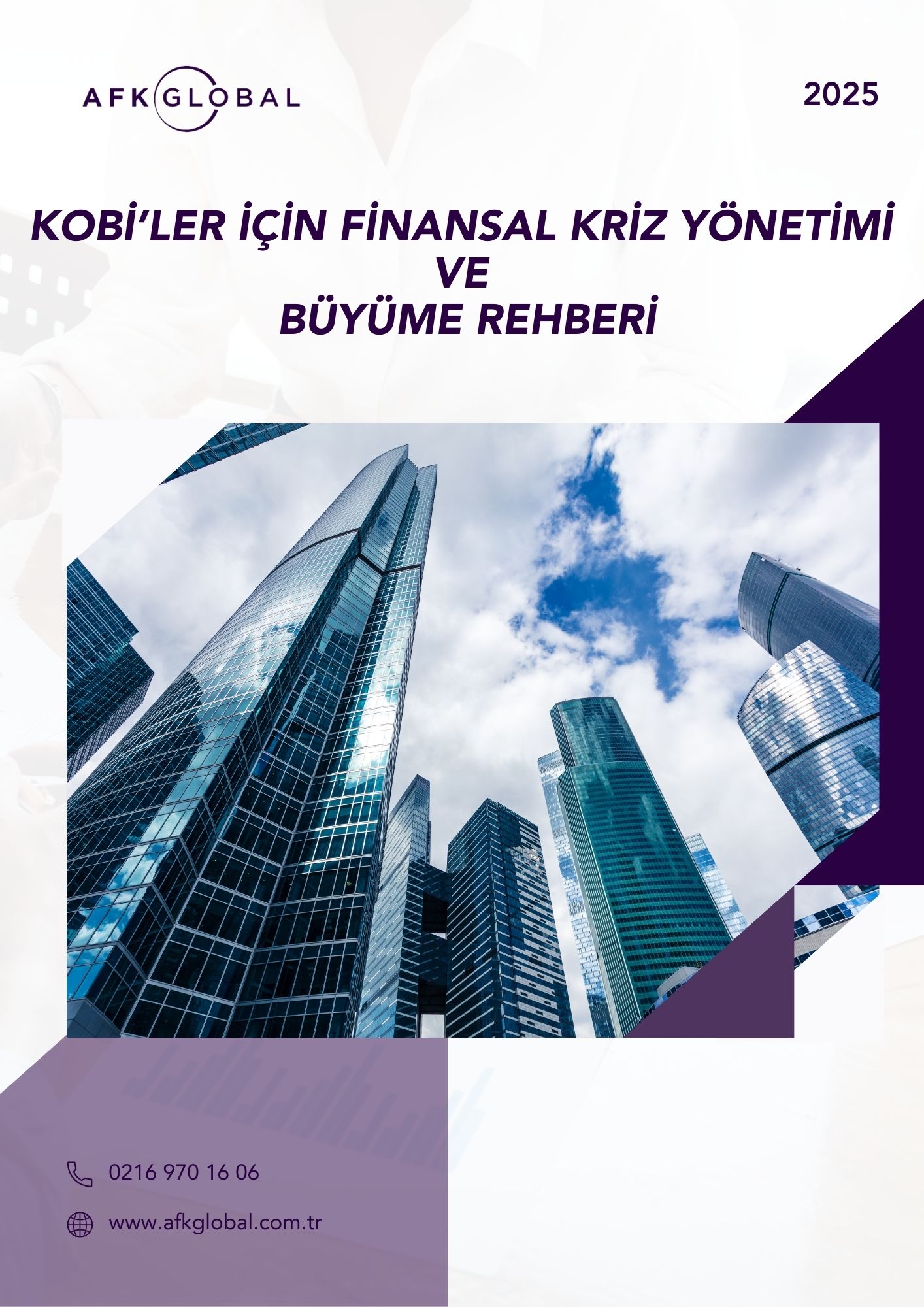 KOBİ'ler için Finansal Kriz Yönetimi ve Büyüme Rehberi